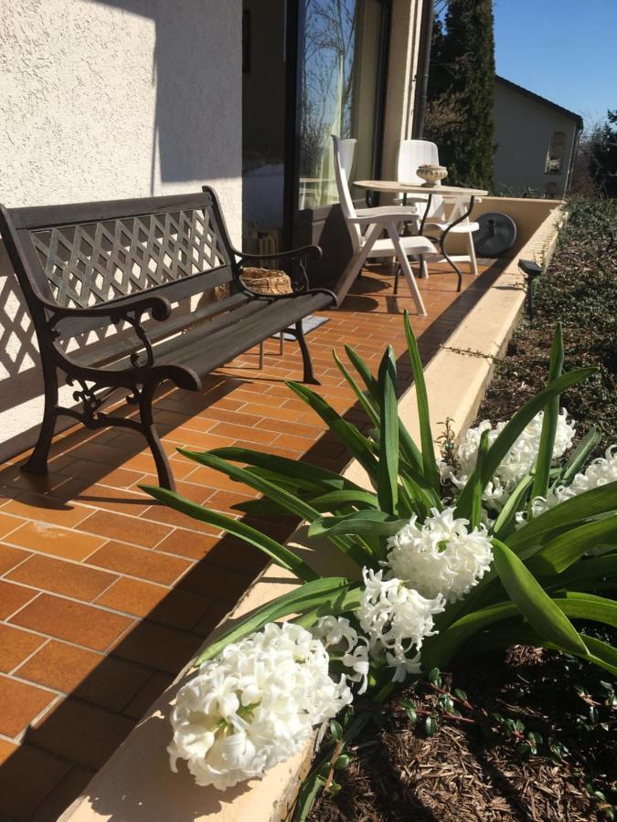 Exklusives Apartment In Bad Saeckingen Fuer 2 Person Экстерьер фото